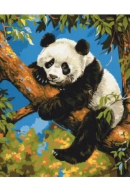 Malowanie po numerach - Leniwa Panda