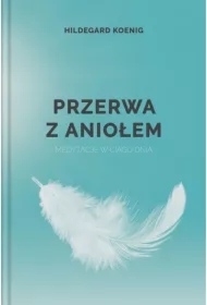 Przerwa z aniołem. Medytacje w ciągu dnia