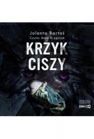 Krzyk ciszy