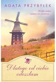 Dlatego od ciebie odeszłam. Bądź przy mnie zawsze. Tom 3