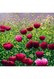 Karnet z kopertą AC10135 Różowe maki