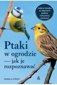 Ptaki w ogrodzie - jak je rozpoznawać