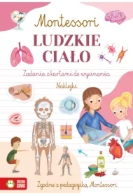 Montessori. Ludzkie ciało