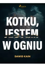 Kotku jestem w ogniu