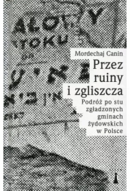 Przez ruiny i zglisza NW