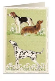 Karnet B6 + koperta 5905 Psy