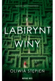 Labirynt winy