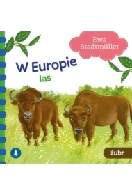 W Europie. Las. Żubr