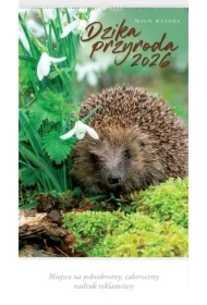 Kalendarz 2026 reklamowy Dzika przyroda