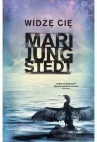 Widzę cię. Inspektor Anders Knutas. Tom 15