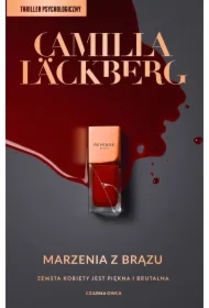 Marzenia z brązu. Faye. Tom 3