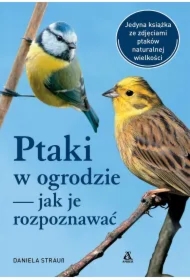 Ptaki w ogrodzie jak je rozpoznawać