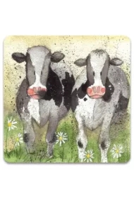 Magnes FM76 Ciekawskie krowy