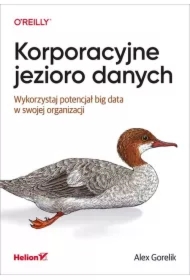 Korporacyjne jezioro danych. Wykorzystaj potencjał big data w swojej organizacji