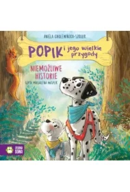 Popik i jego wielkie przygody. Niemożliwe historie