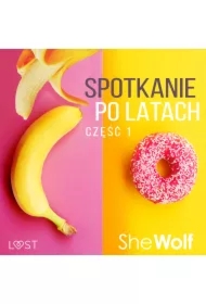Spotkanie po latach 1 &ndash; opowiadanie erotyczne