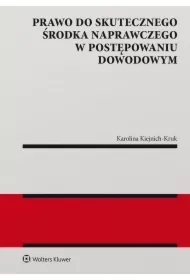 Prawo do skutecznego środka naprawczego w postępowaniu dowodowym