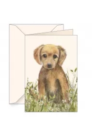 Karnet B6 z kopertą Brązowy szczeniak