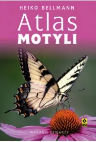 Atlas motyli w.4