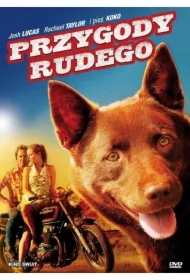 Przygody Rudego DVD