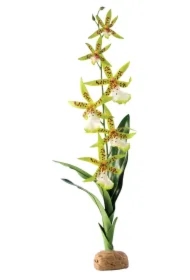 Roślina sztuczna &ndash; Orchidea Spider Orchid