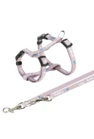 Junior, szelki dla szczeniąt, ze smyczą, taśma parciana, 27&ndash;45 cm/10 mm, 2.00 m, liliowe