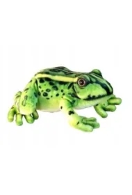 Żaba 28cm