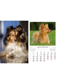 Kalendarz ścienny 2026 Psy