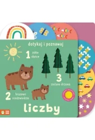 Dotykaj i poznawaj. Liczby