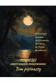 Powieści Józefa Ignacego Kraszewskiego. Tom 15