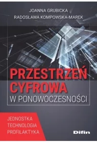 Przestrzeń cyfrowa w ponowoczesności