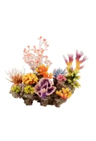 Kompozycja akwarystyczna koralowiec różnobarwny 54cm