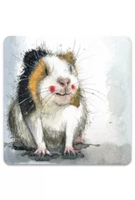 Magnes FM248 Świnka morska