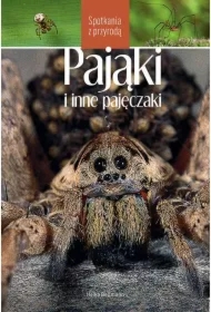 Pająki i inne pajęczaki. Spotkania z przyrodą