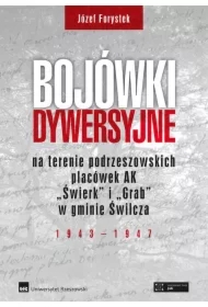 Bojówki dywersyjne TW
