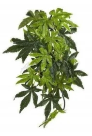 Roślina sztuczna &ndash; Silk Abuliton, M