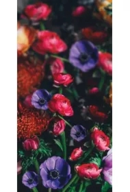 Karnet DL Uniwersalny