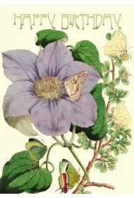 Karnet B6 brokat z kopertą Urodziny Powojnik