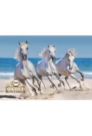 Terminarz Domowy 2026 Konie