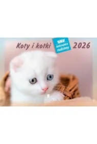 Kalendarz 2026 rodzinny Koty i kotki