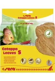 Liście migdałecznika - Catappa Leaves S, 14 cm