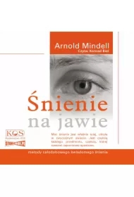 Śnienie na jawie. Metody całodobowego świadomego śnienia