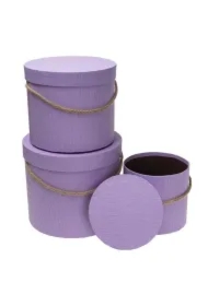 Pudełko Flower Box 3 szt purpurowy