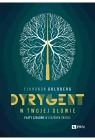 Dyrygent w twojej głowie. Płaty czołowe w złożonym świecie