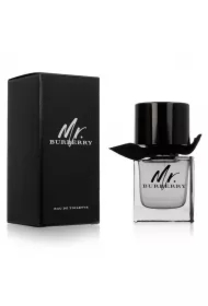 Mr.Burberry woda toaletowa dla mężczyzn spray