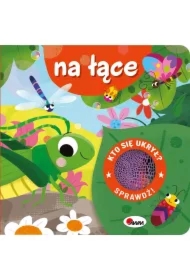 Kto się ukrył? Na łące