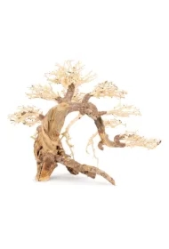 Tonące drzewo Bonsai nr 13 70 x 50