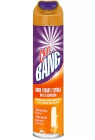 Aktywna piana osady z mydła i prysznice środek czyszczący