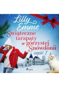 Świąteczne tarapaty w górzystej Snowdonii - część 1