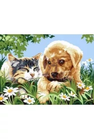 Malowanie po numerach - Pies z kotem na łące